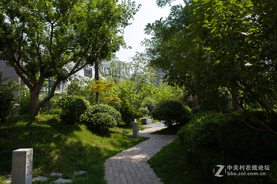 我型我塑话时尚作业（8）