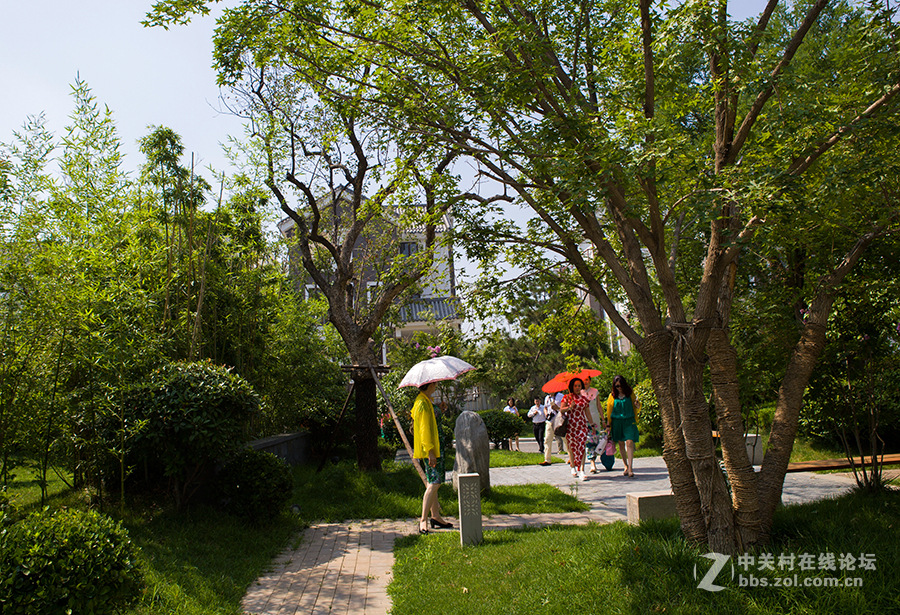 我型我塑话时尚作业（8）