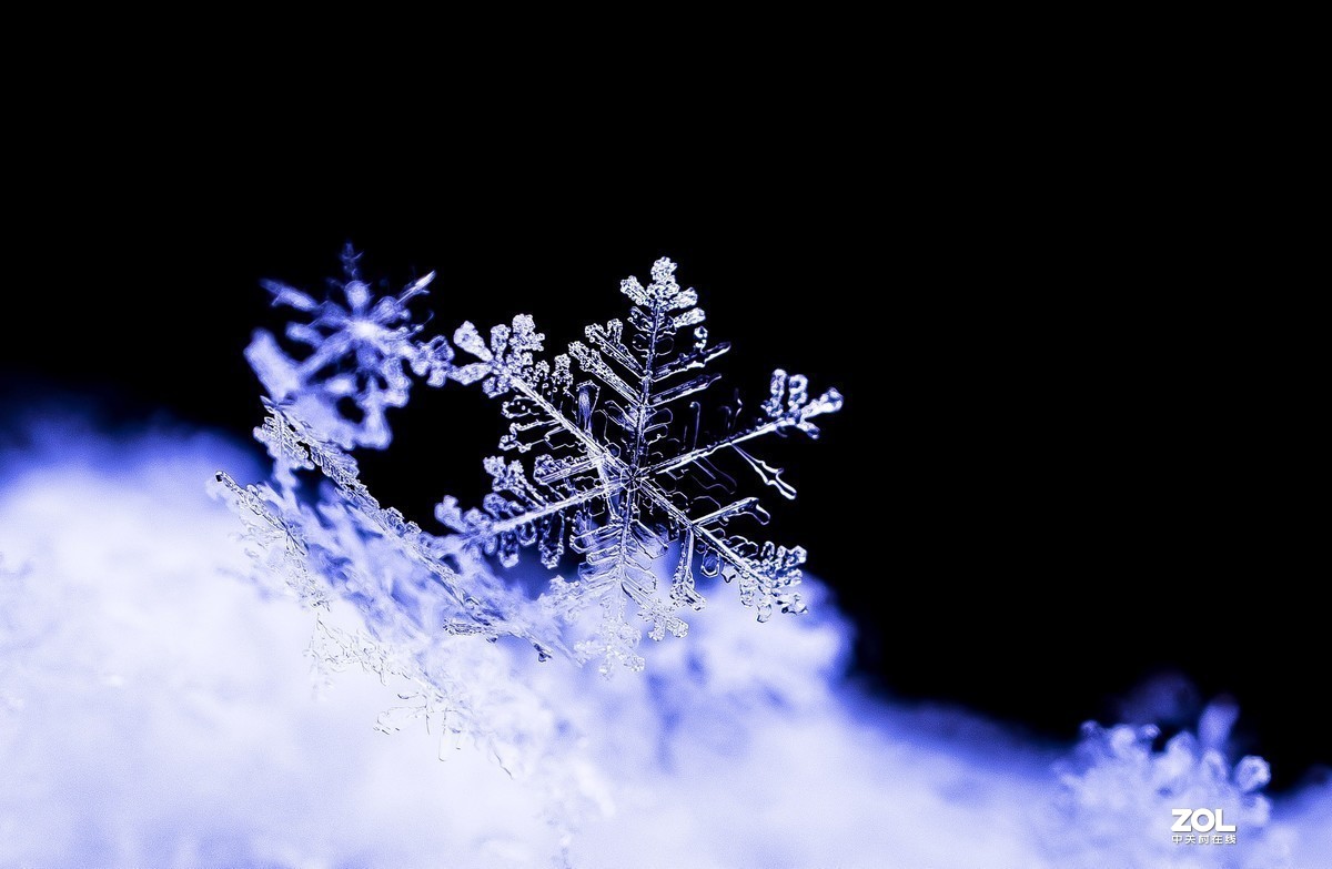 #版主坐堂# 2020年3月份微距星空(中国)优秀作品汇编