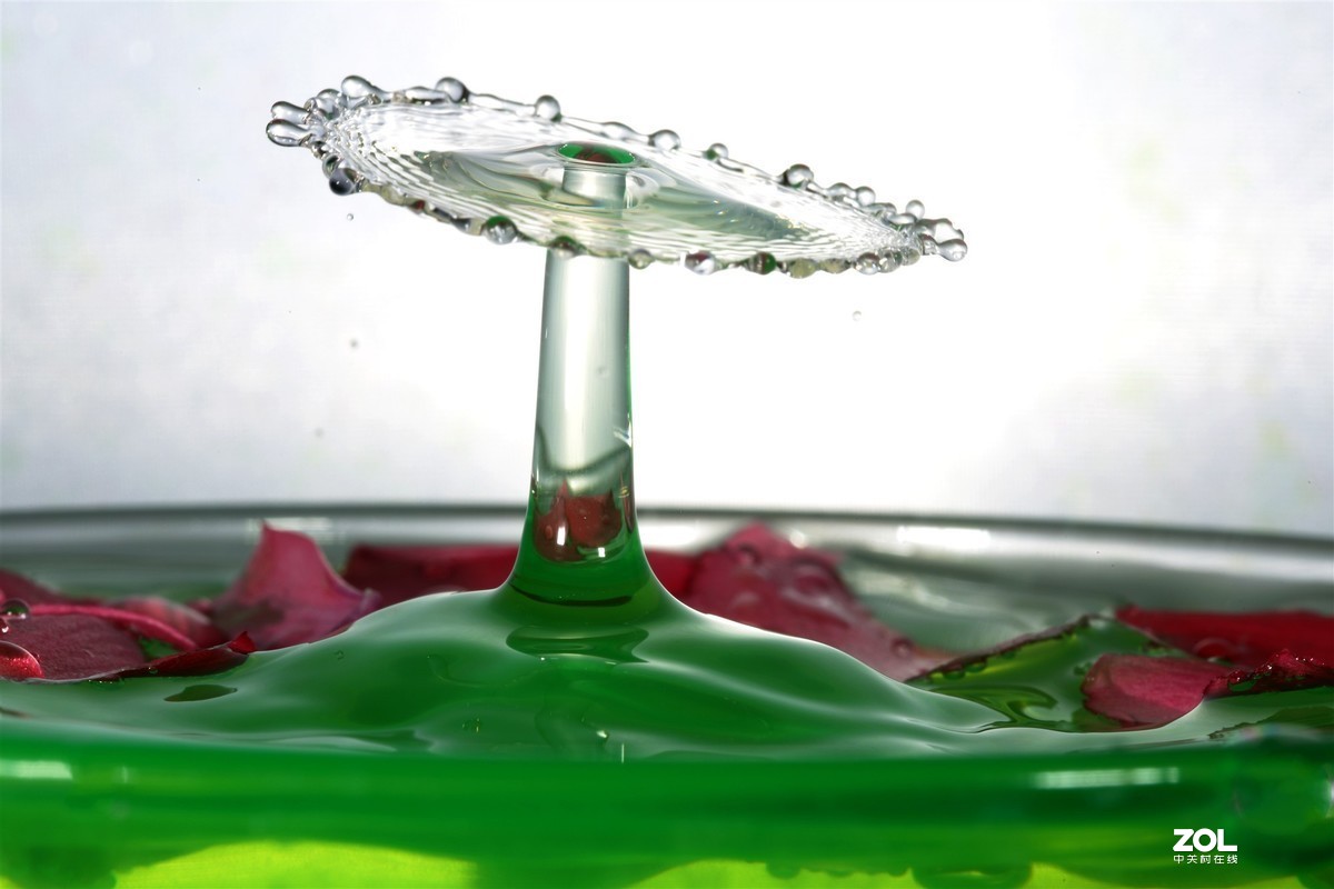 #版主坐堂# 2020年3月份微距星空(中国)优秀作品汇编