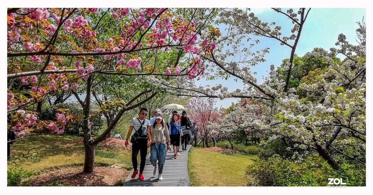 春游随记 （手机宽版）