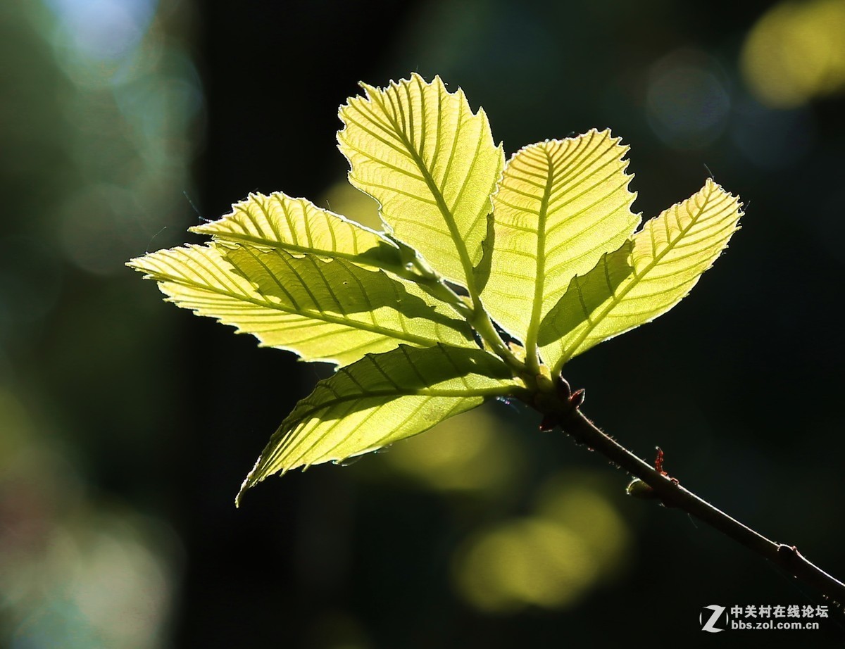 #2015年5月6D星空(中国)上半月精品汇集#