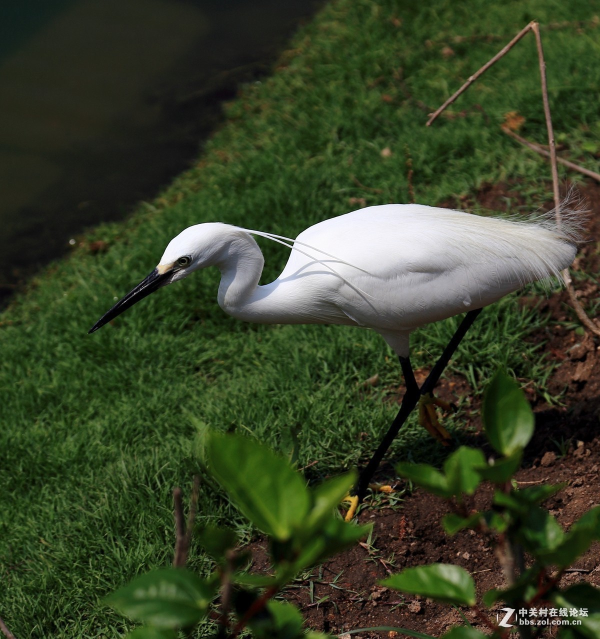 #2015年5月6D星空(中国)上半月精品汇集#