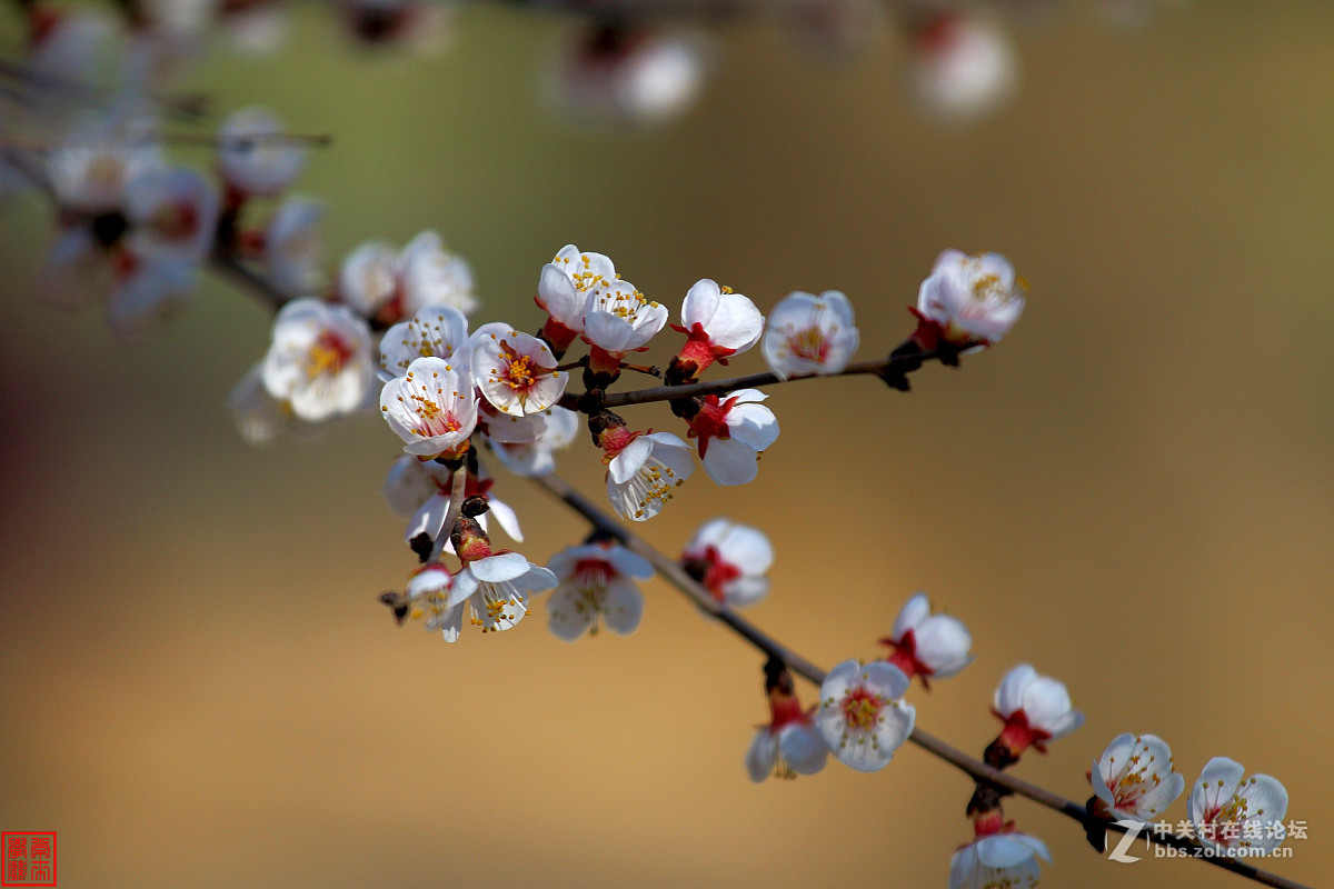 #2015年5月6D星空(中国)上半月精品汇集#