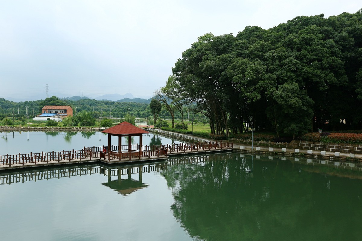 端午节拍的武义新农村郑村公园（2）