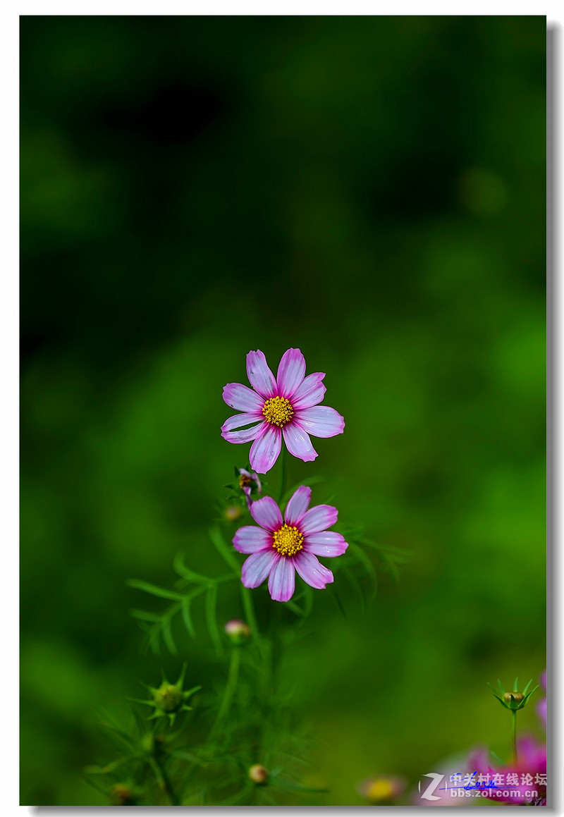#2015年5月6D星空(中国)上半月精品汇集#