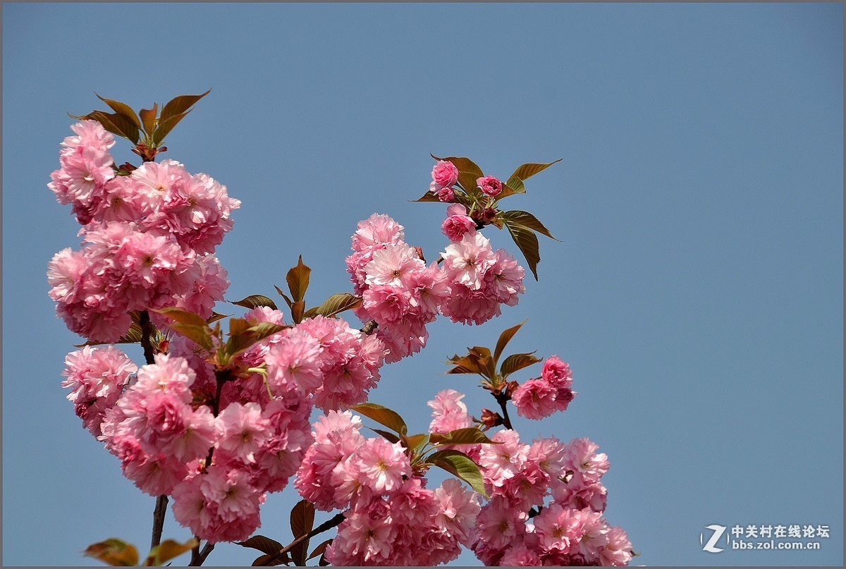 #2015年5月6D星空(中国)上半月精品汇集#