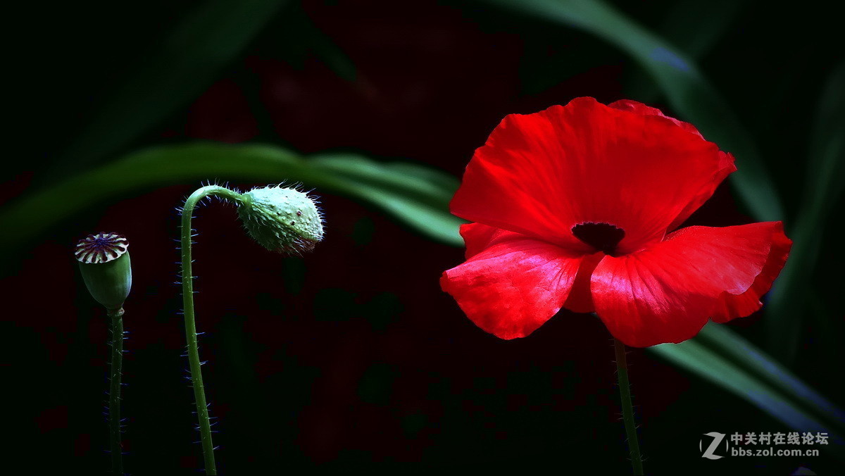 #2015年5月6D星空(中国)上半月精品汇集#