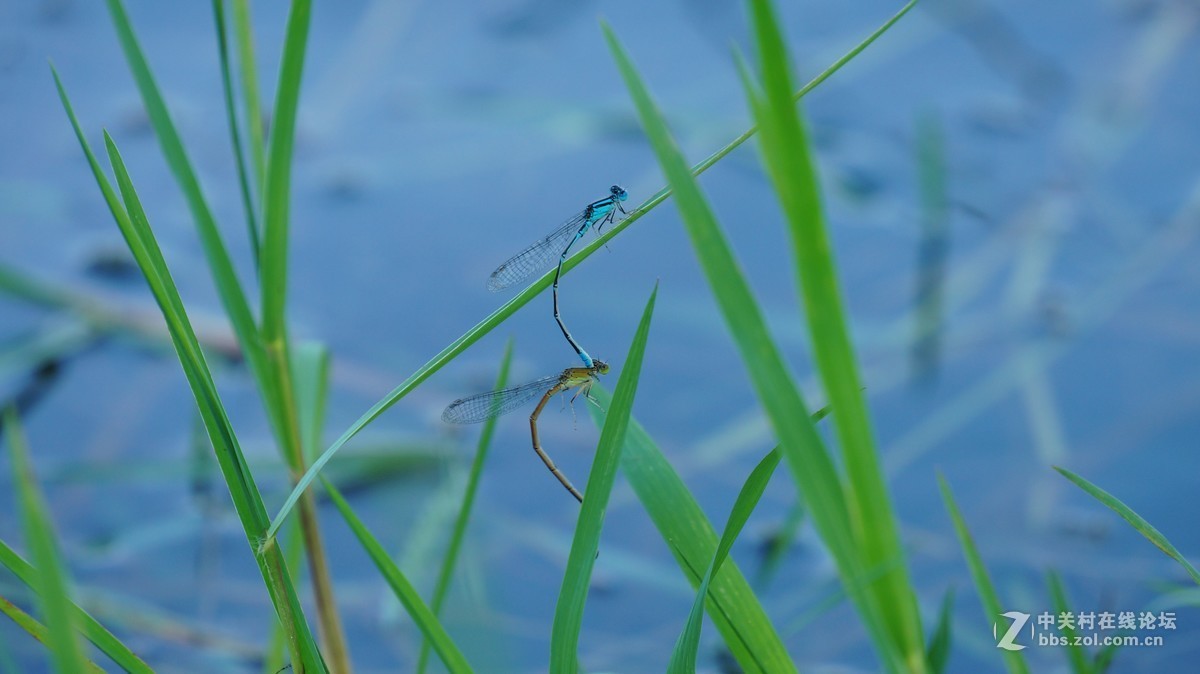 请问大家这个效果算正常吗？