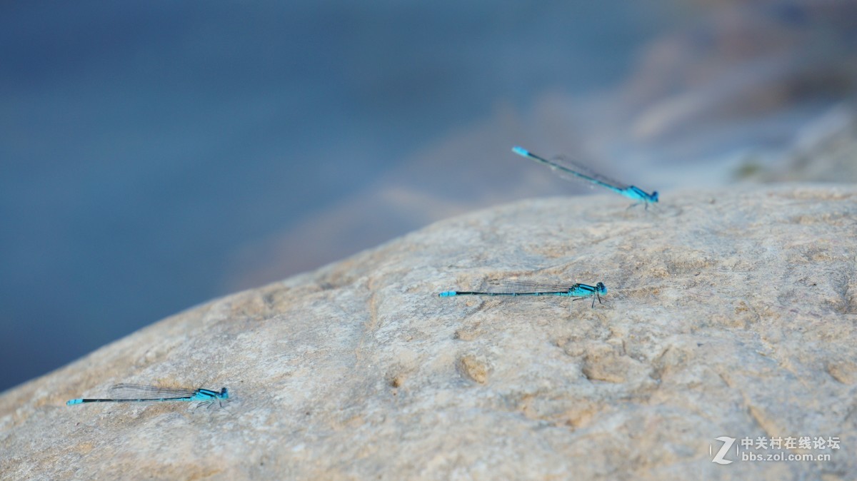 请问大家这个效果算正常吗？