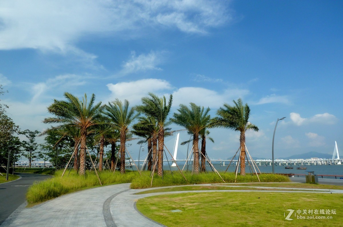 zs7退役专集八（海上世界&深圳湾）