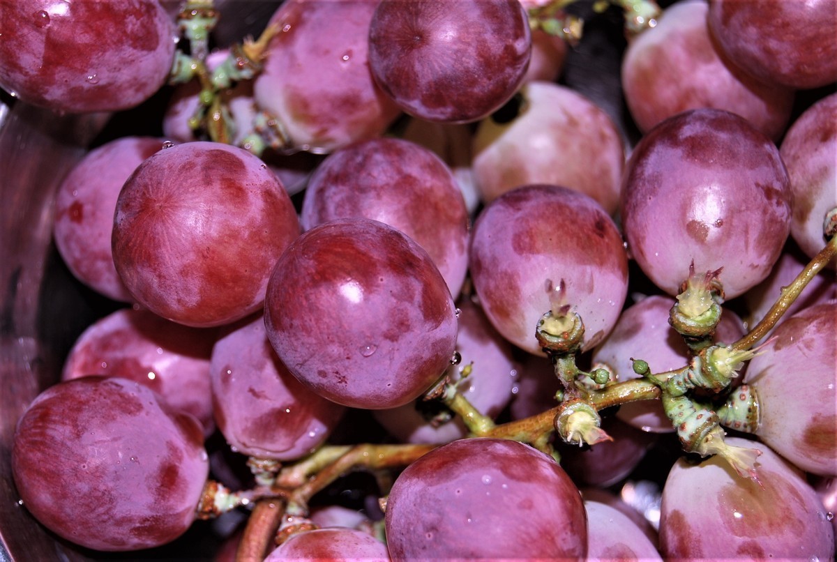 第一次拿单反拍照，处女作··超级纯小白