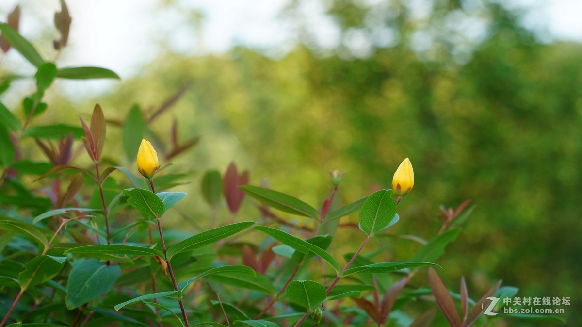请问大家这个效果算正常吗？