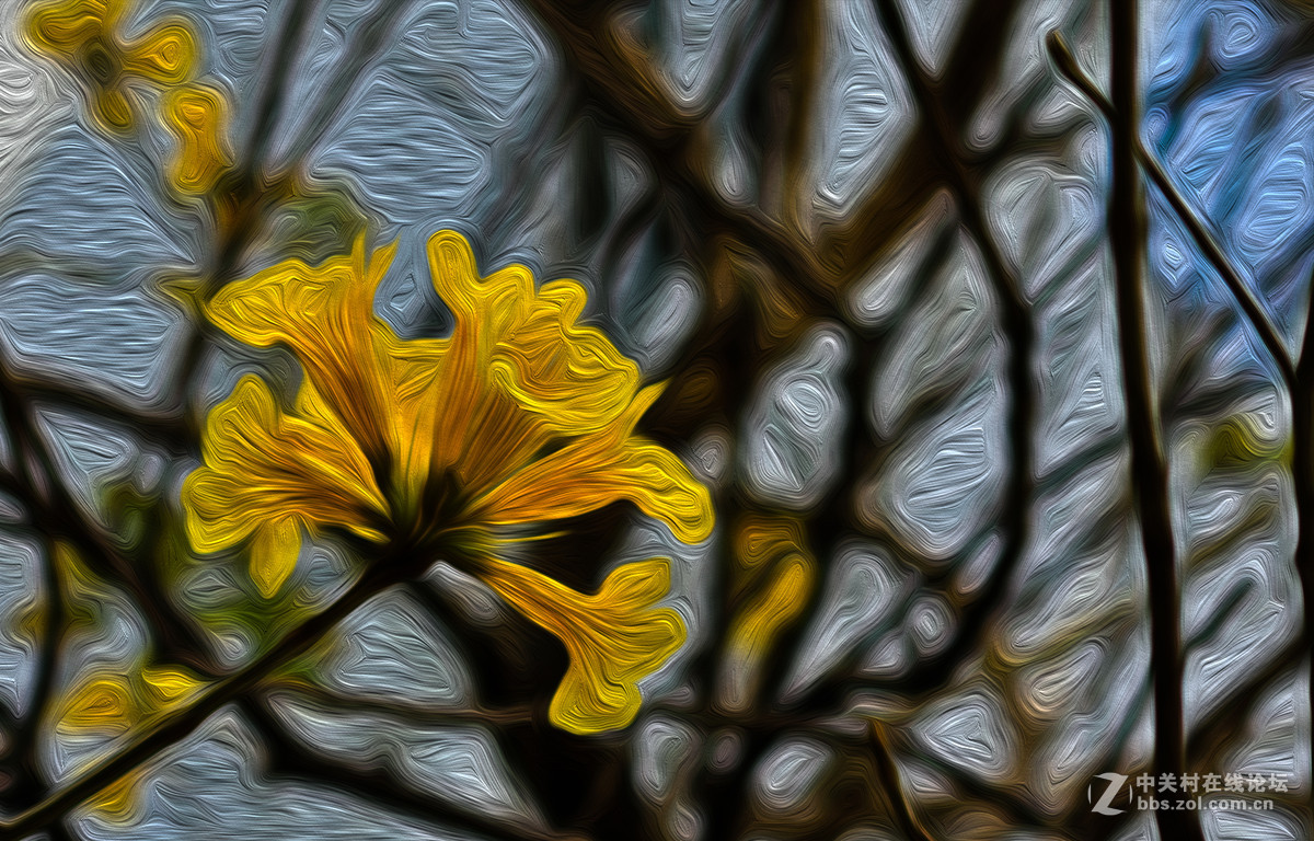 黄花风铃木油画色彩