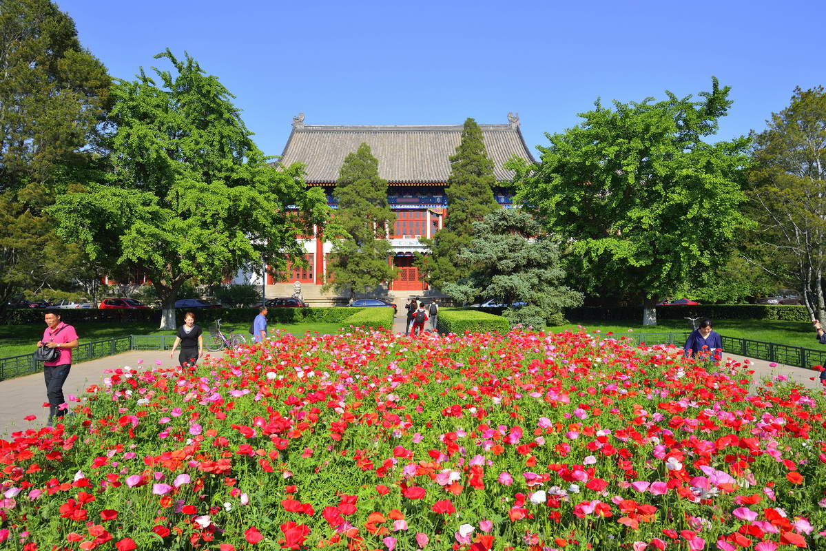 美麗的北京大學校園