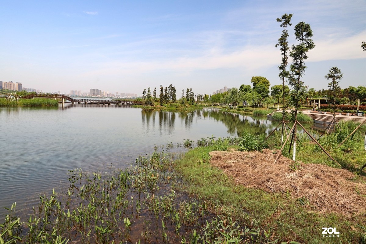 松雅湖溼地公園結束遍