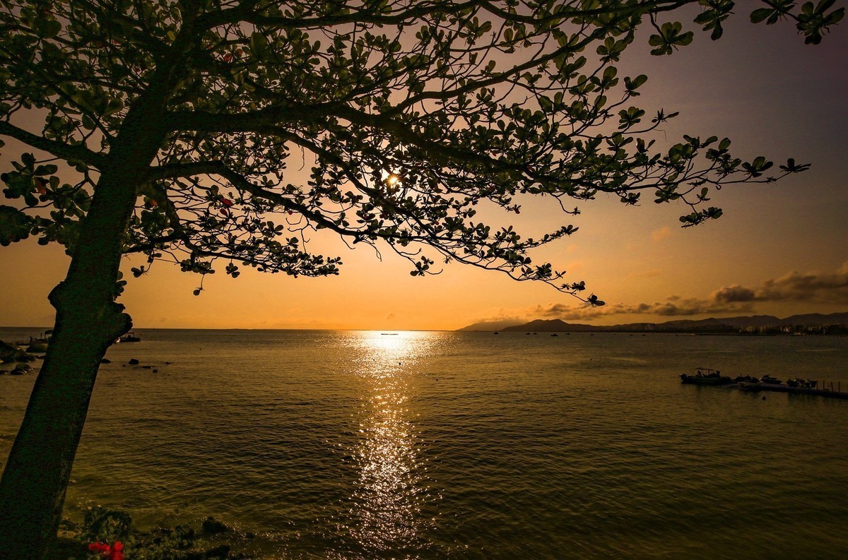 浪漫天涯日西斜
