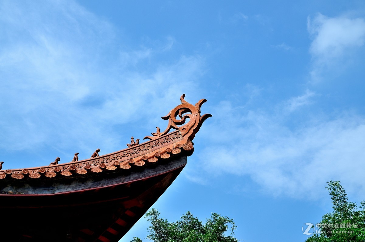 松林禅寺图片