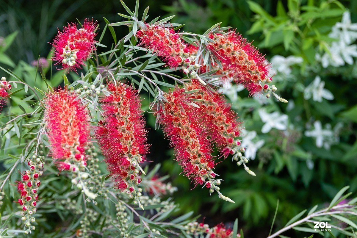 无锡一个20年前的公园---无锡欧州城