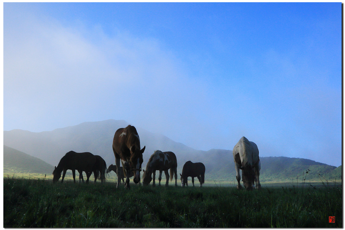 大王让我寻山去……