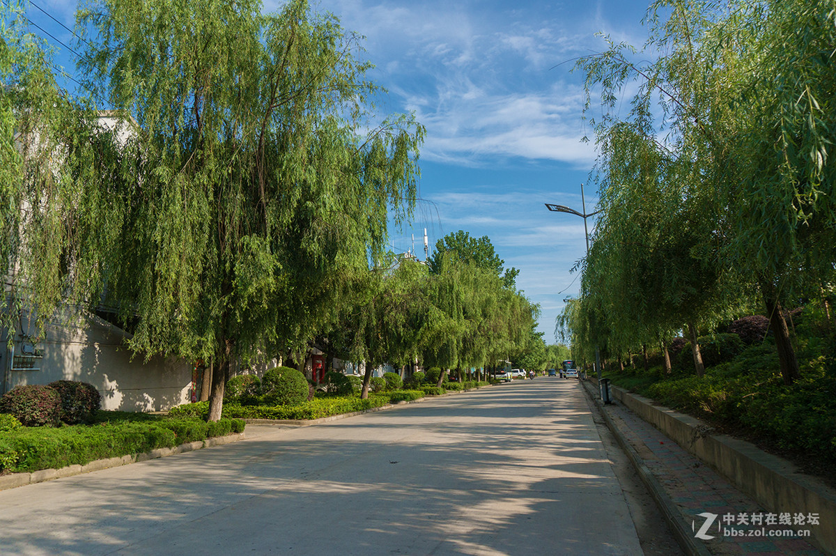 上班路上——一组蓝天白云报到
