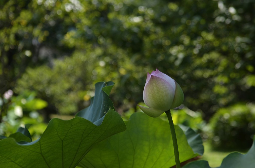 一千入此机身，二千再入昔日镜皇，很不错。