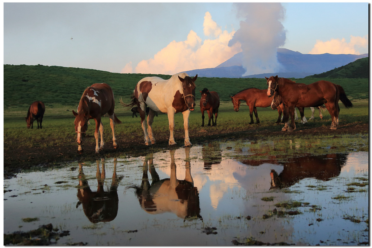 大王让我寻山去……