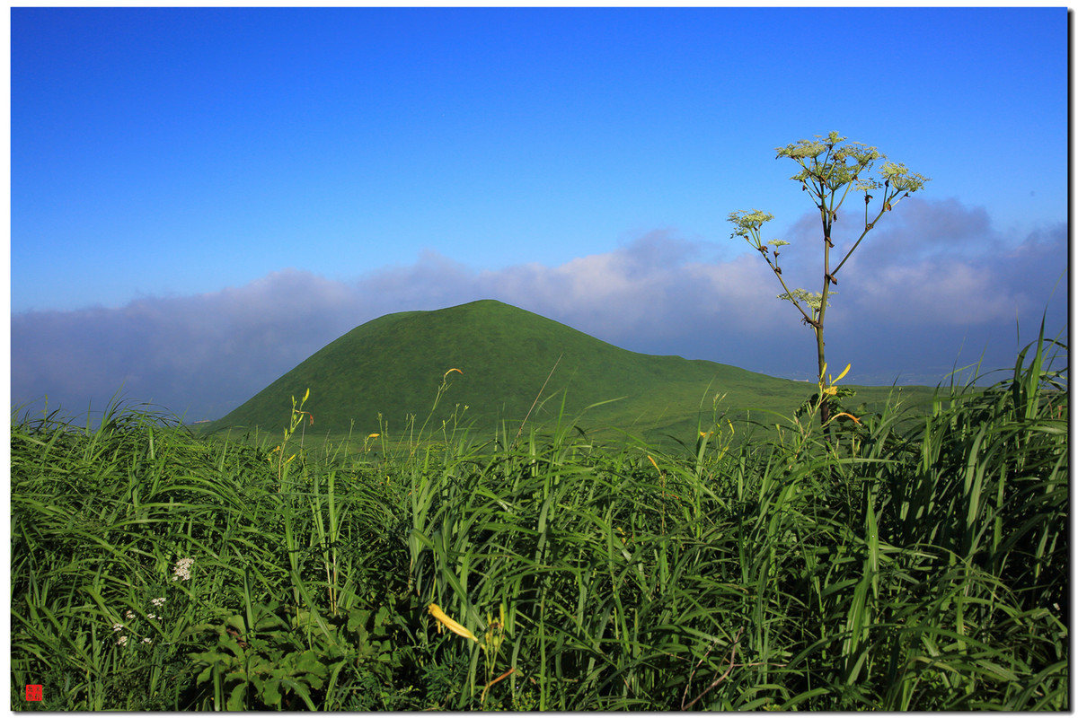 大王让我寻山去……