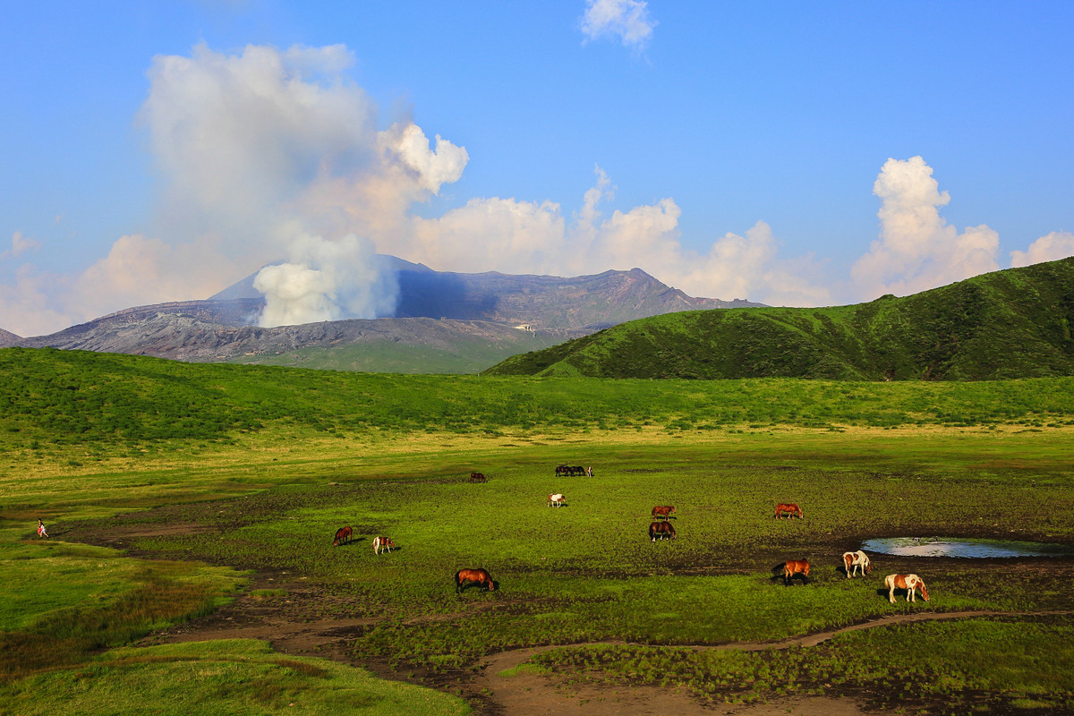 大王让我寻山去……