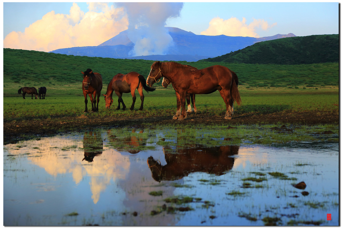 大王让我寻山去……