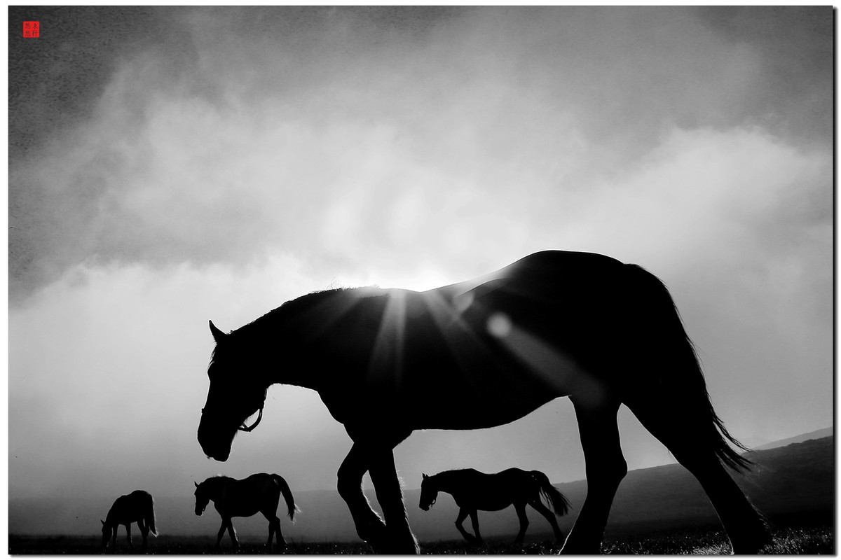 大王让我寻山去……