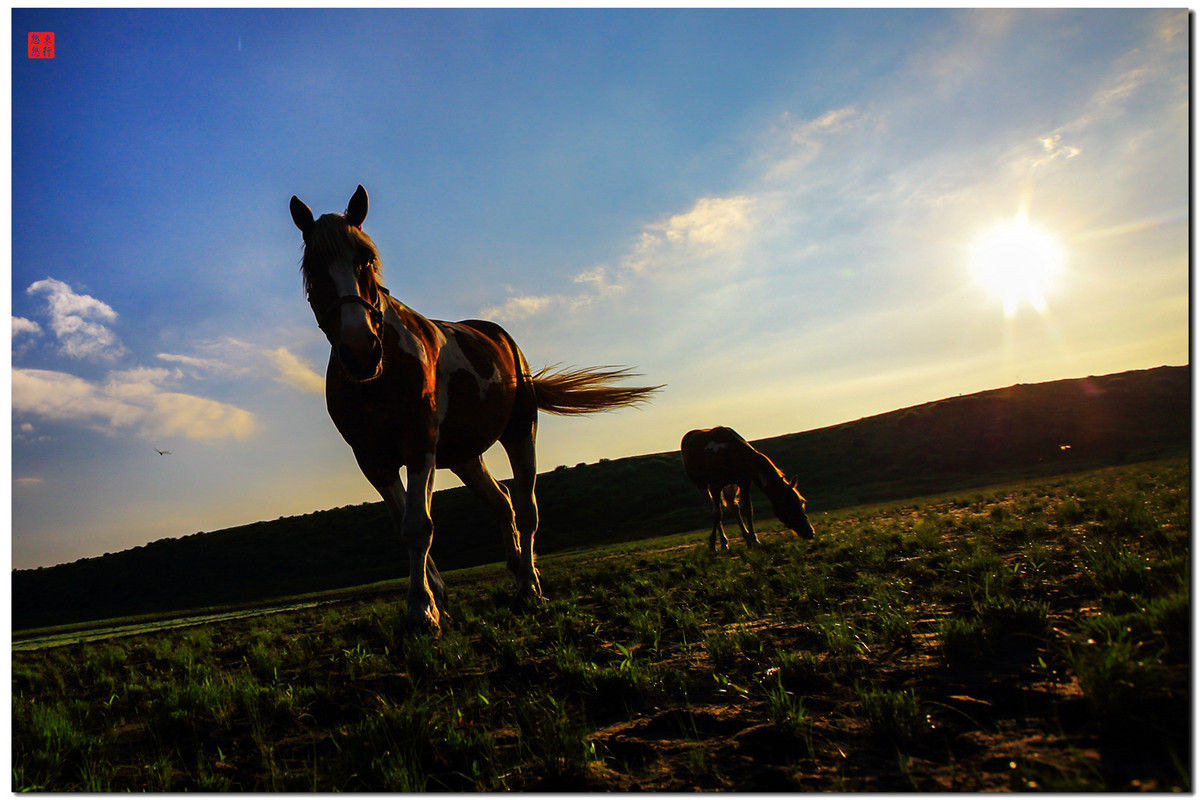 大王让我寻山去……