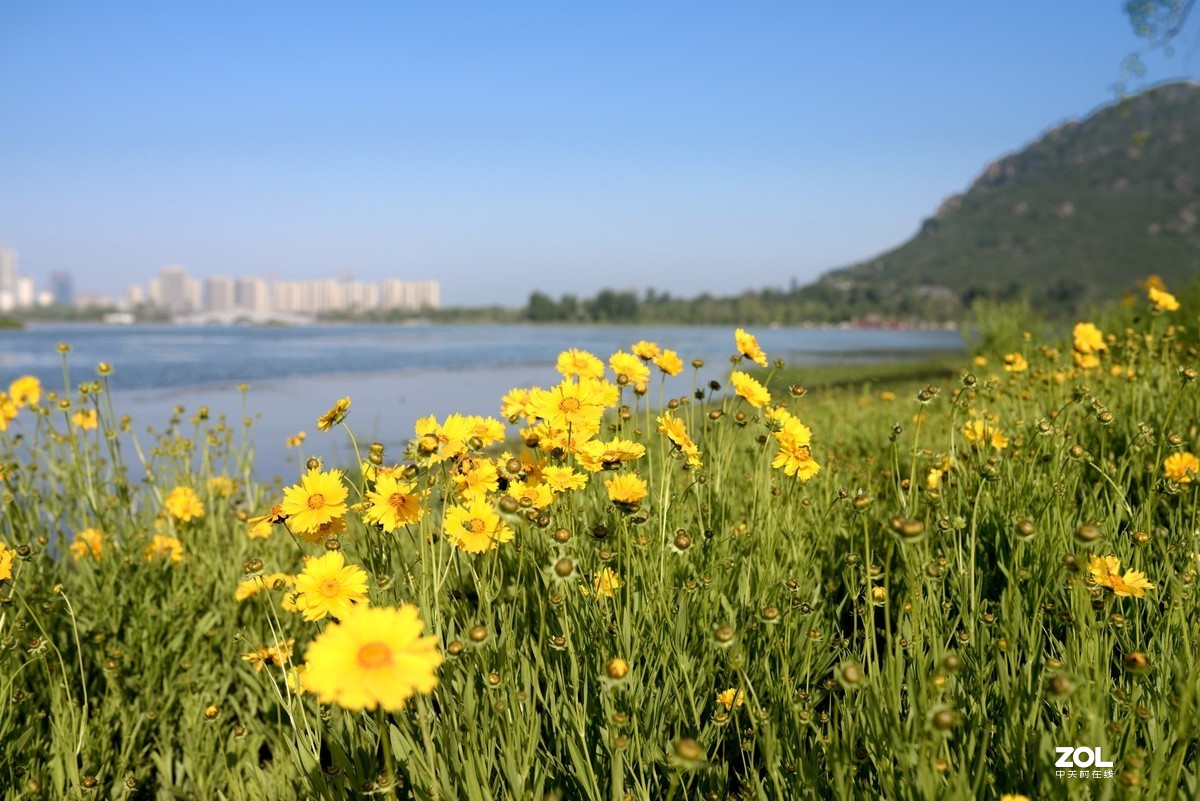 兹山何峻秀，绿翠如芙蓉——济南华不注的早晨
