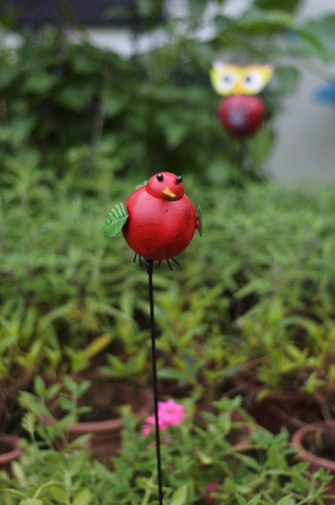 一千入此机身，二千再入昔日镜皇，很不错。