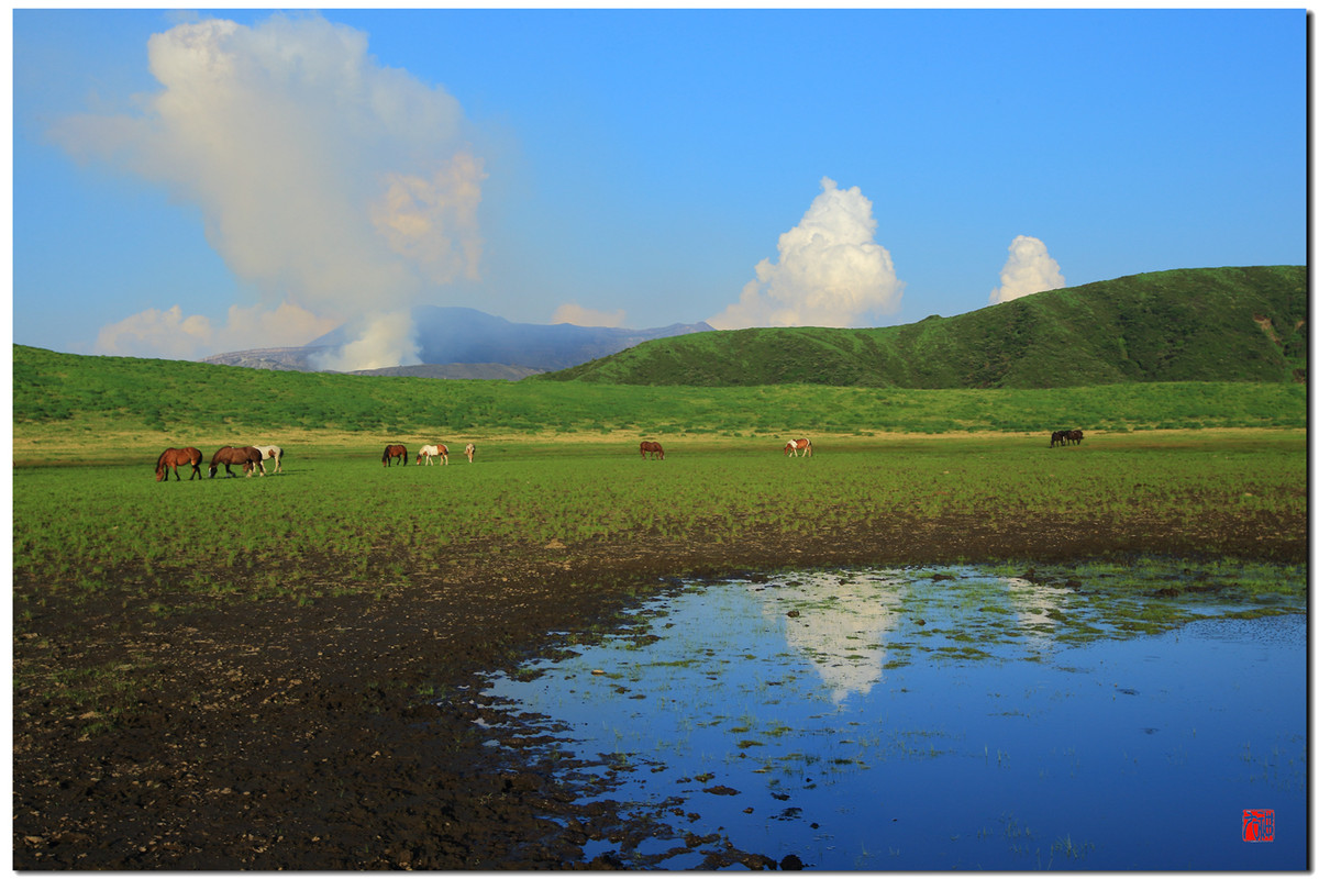 大王让我寻山去……