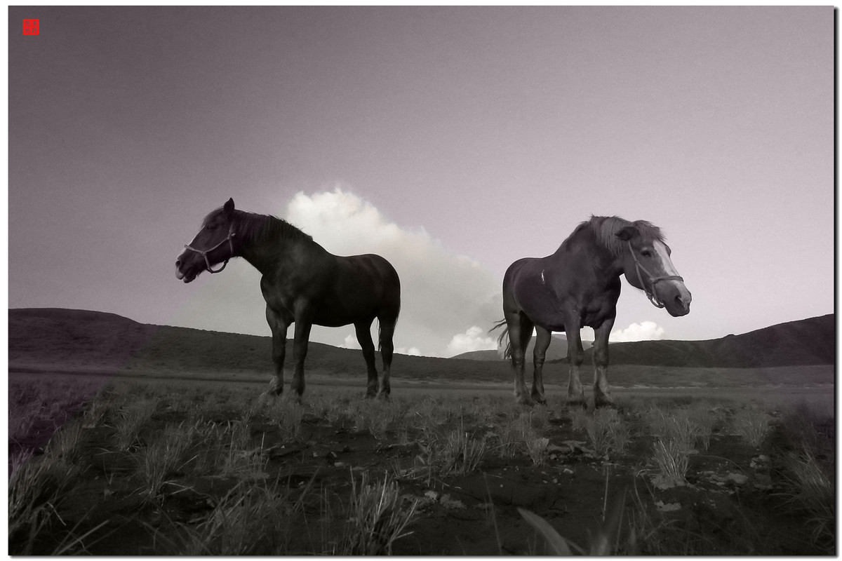 大王让我寻山去……