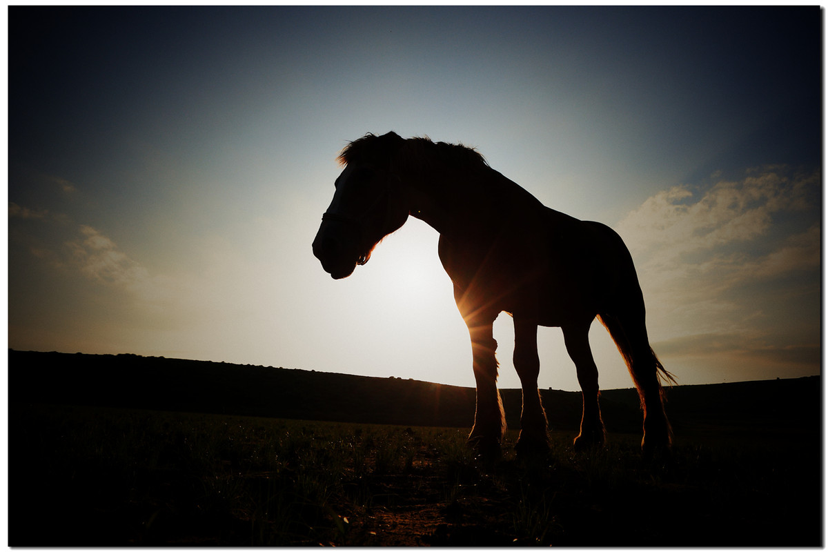 大王让我寻山去……