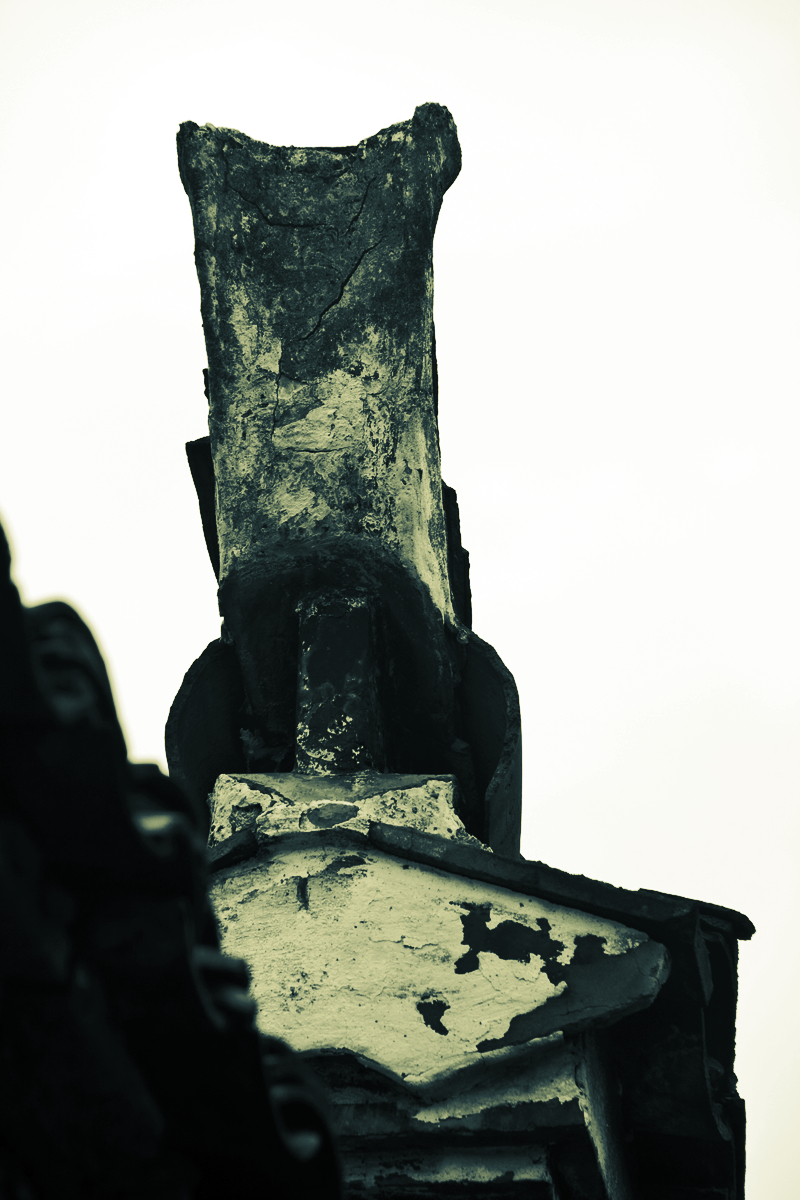 深度浙南11芝英