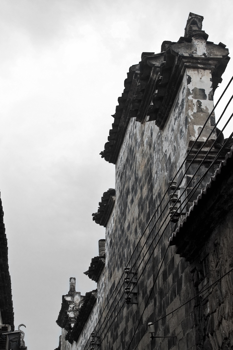 深度浙南11芝英