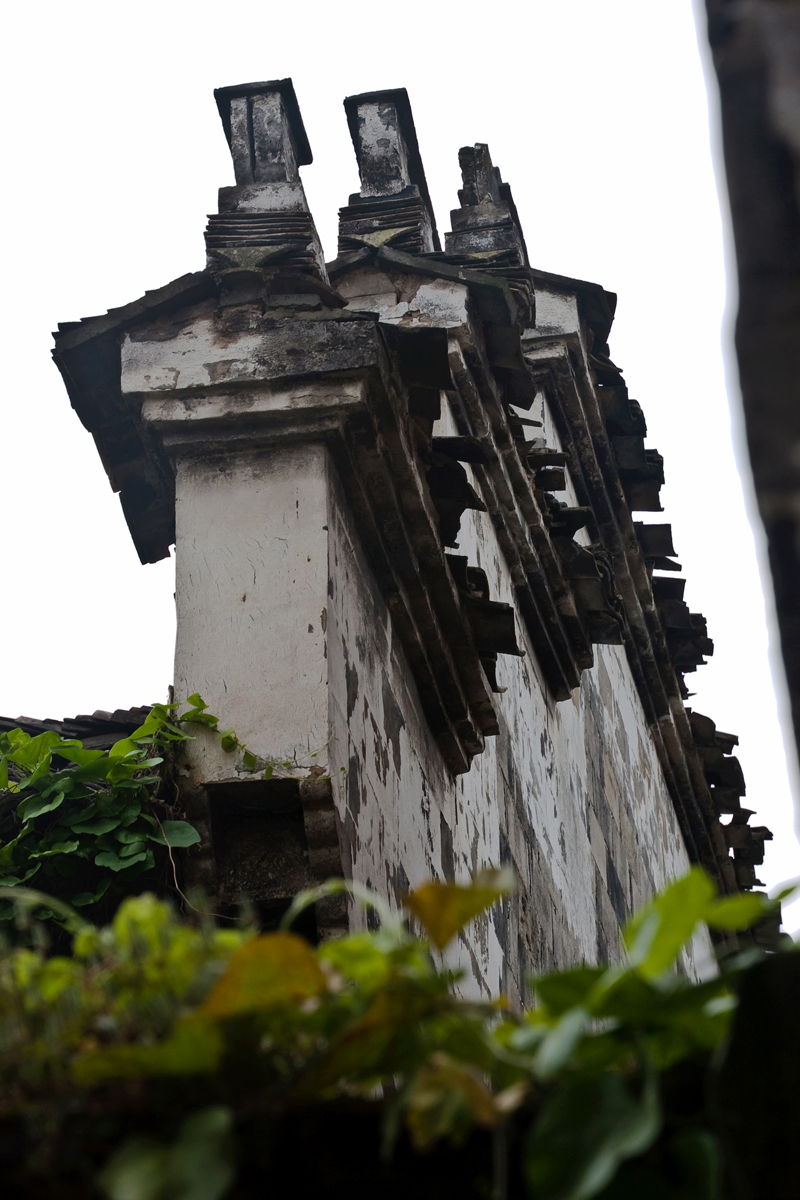 深度浙南11芝英