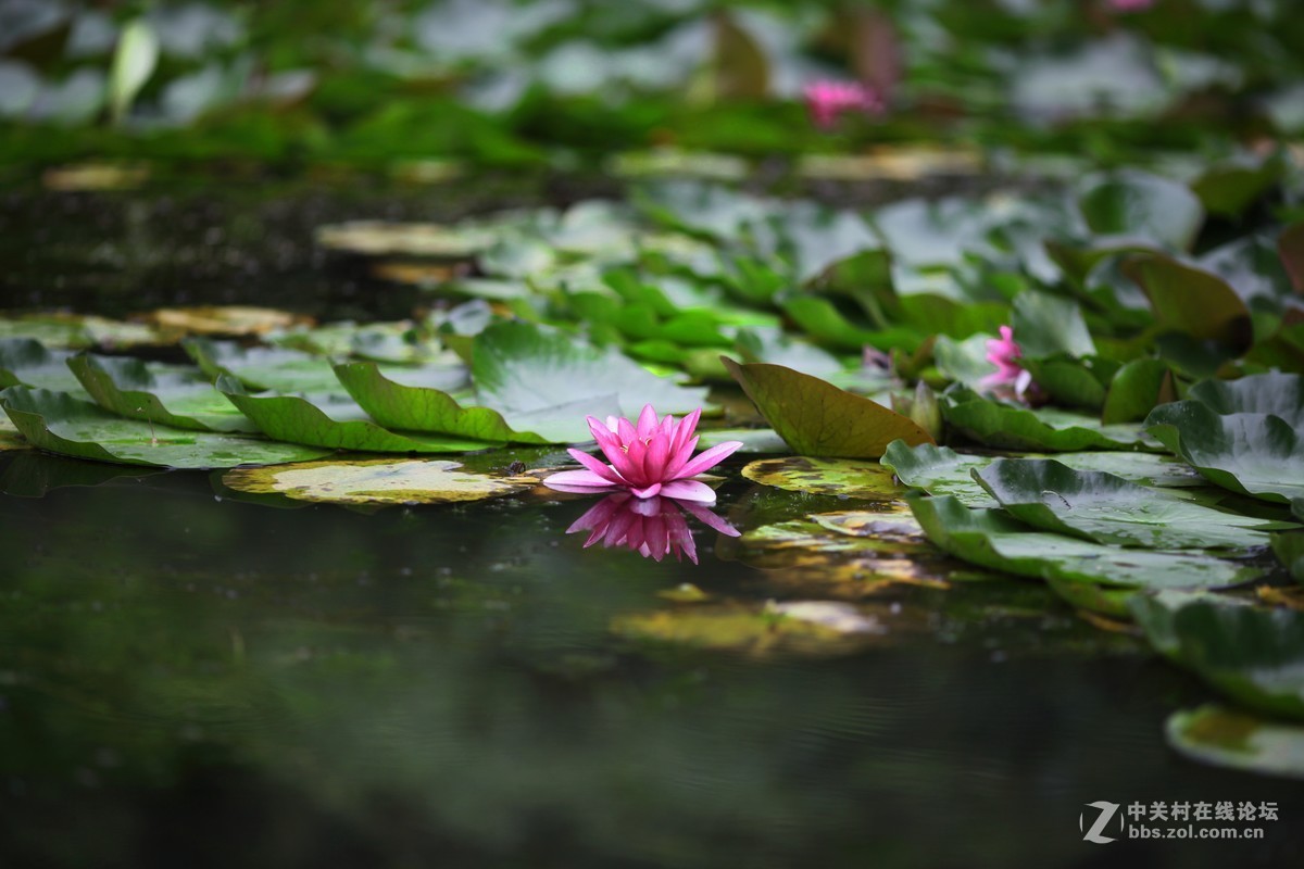 纯粹是为了情怀～闲魚淘了个成色非常新的二手5d2～试镜