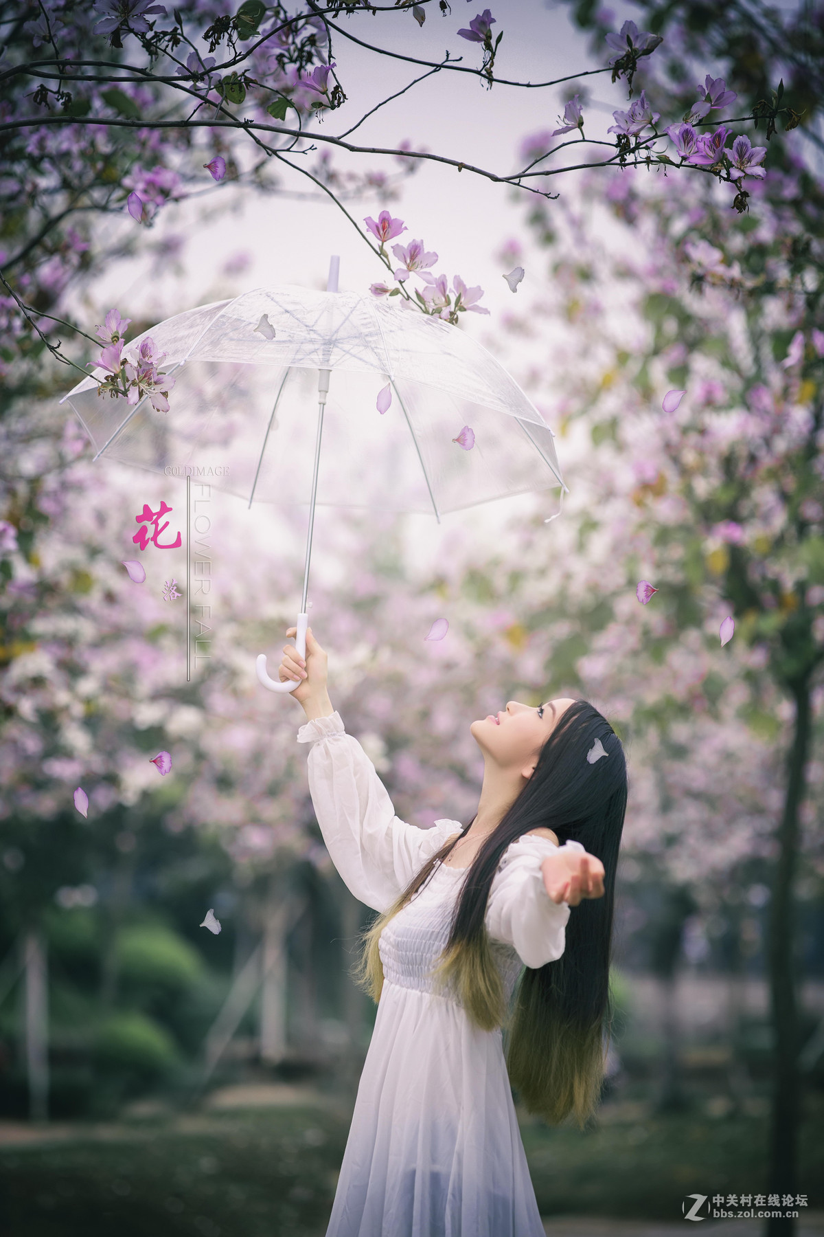 卡尔蔡司planart135mmf2ze落花人像