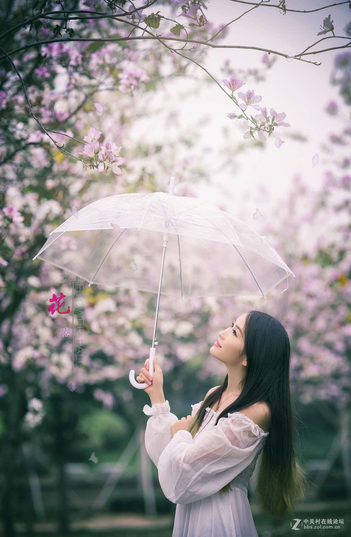 卡尔蔡司planart135mmf2ze落花人像