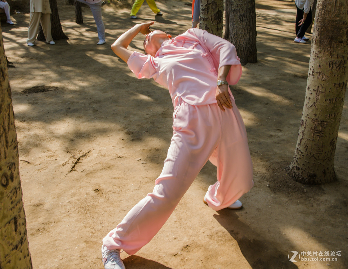 女拳如醉如痴柔美飘逸