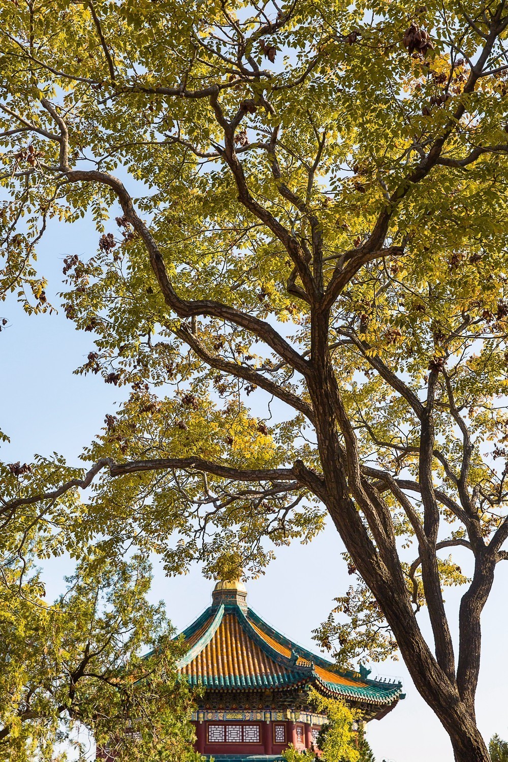 颐和园寻访秋色2019.10.26