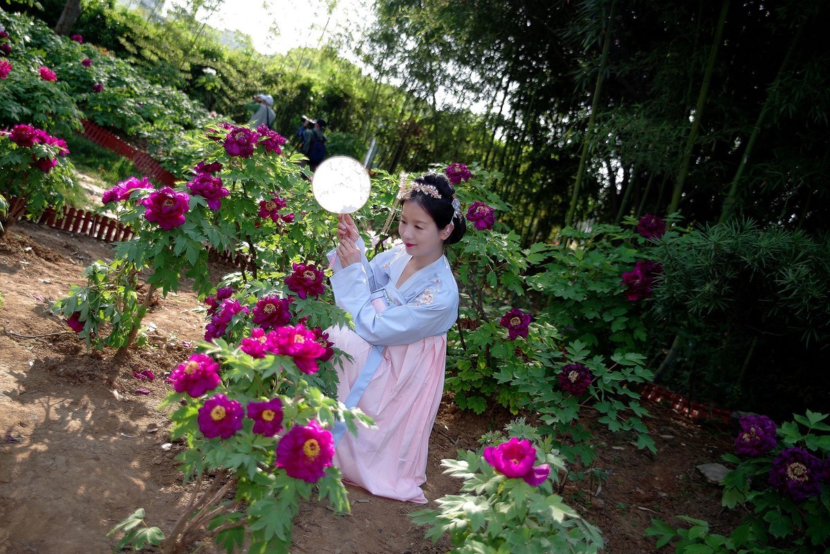 请假貼--环境人像外拍--美女老师赏花在东湖牡丹园！