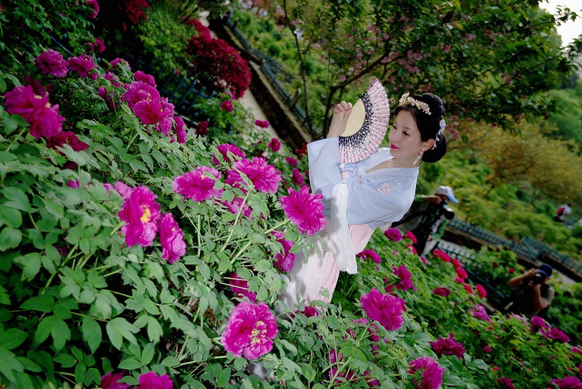 请假貼--环境人像外拍--美女老师赏花在东湖牡丹园！