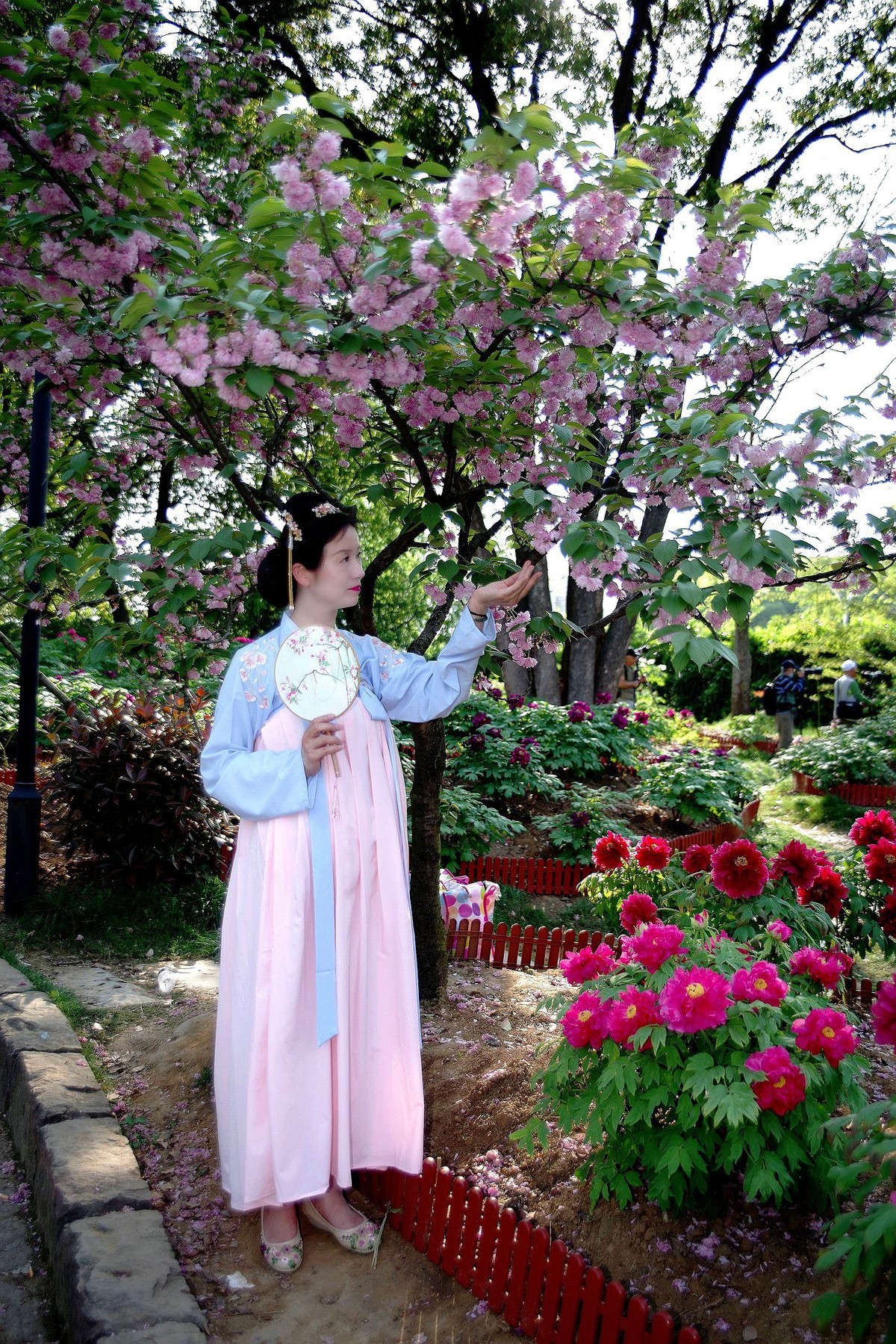请假貼--环境人像外拍--美女老师赏花在东湖牡丹园！