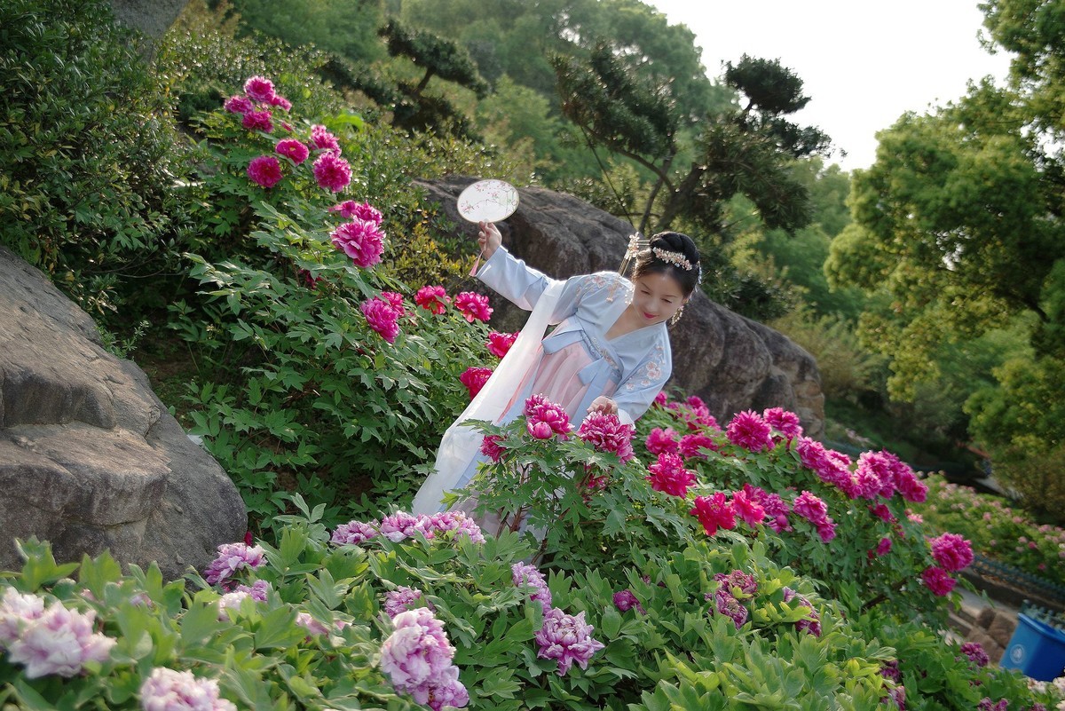 请假貼--环境人像外拍--美女老师赏花在东湖牡丹园！