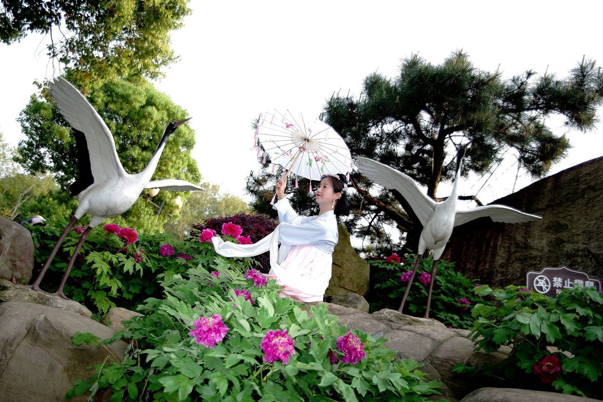 请假貼--环境人像外拍--美女老师赏花在东湖牡丹园！